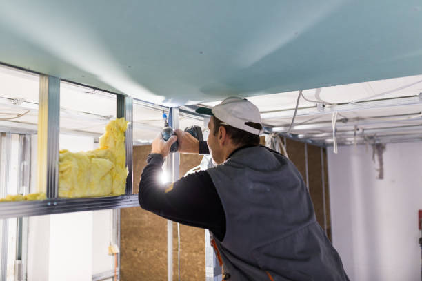 Best Insulation Maintenance and Repair in Forest City, PA