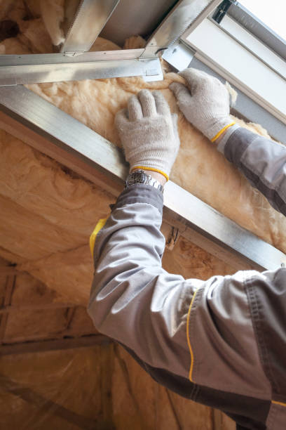Best Specialized Insulation Services in Forest City, PA