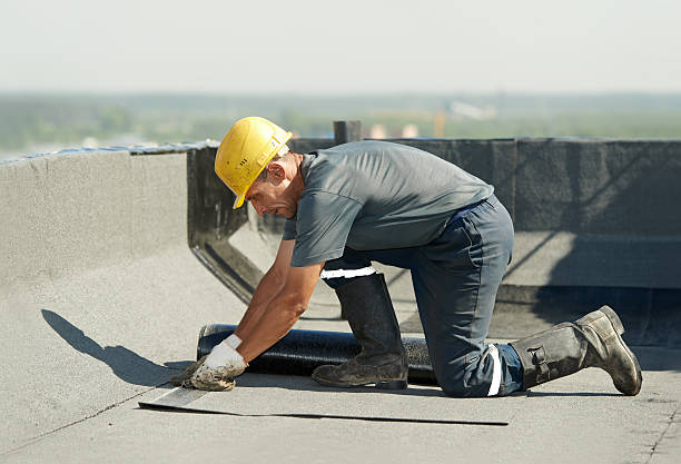 Best Spray Foam Insulation in Forest City, PA